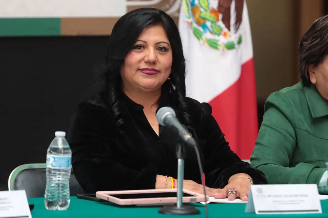 Araceli Celestino Rosas