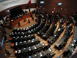 Comisiones del Senado palomean Ley de las Niñas, Niños y Adolescentes