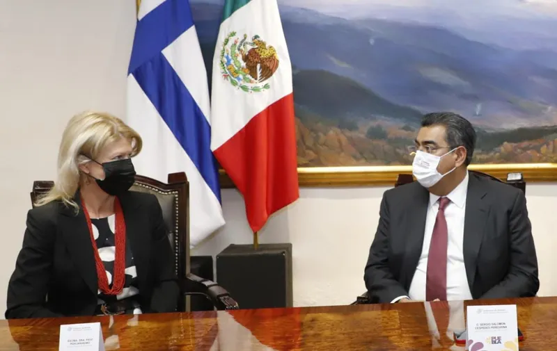 Imagen del artículo