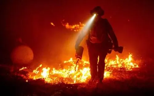 Incendios en California arrasan con 1.2 millones de hectáreas