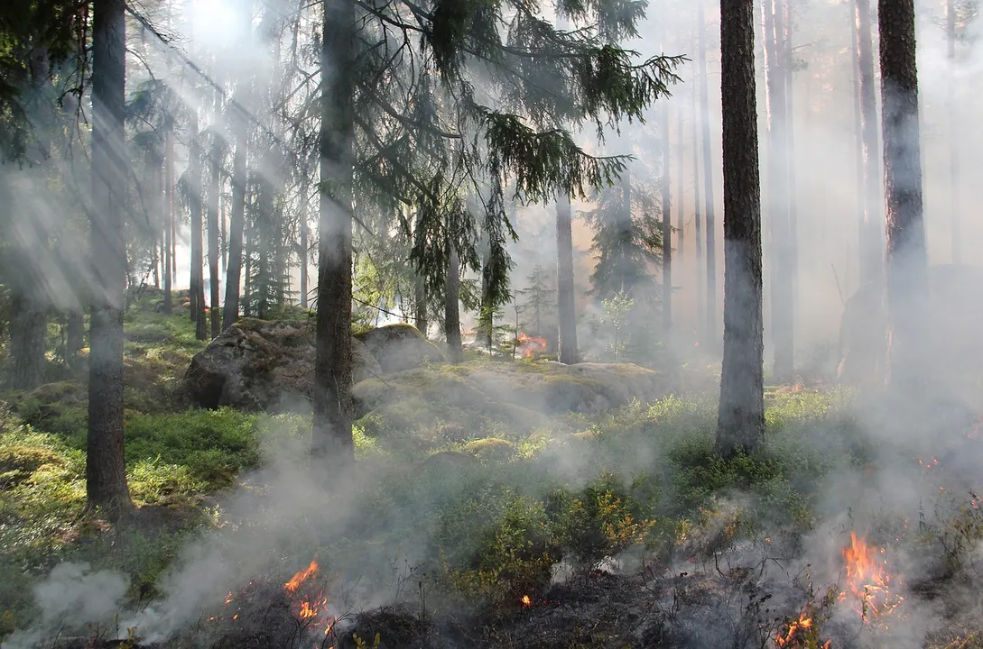 Se encuentran activos tres incendios forestales en Puebla