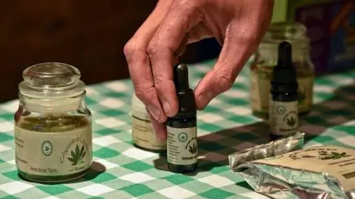 En 6 meses, reglas de Cofepris para uso medicinal de la mariguana