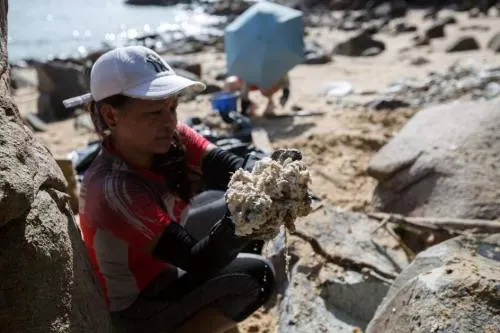 Cierran 11 playas de Hong Kong por contaminación de mil toneladas de aceite de palma