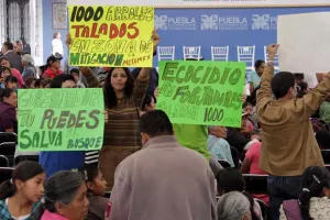 Protestan contra ecocidio en San Andrés; gobierno multaría a constructora
