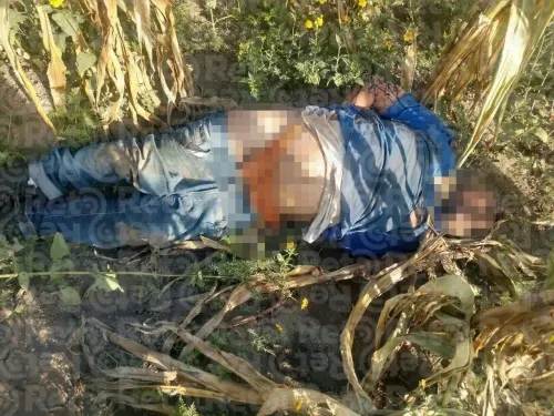 Con heridas de AR-15 hallan a mesero levantado en bar de Serdán
