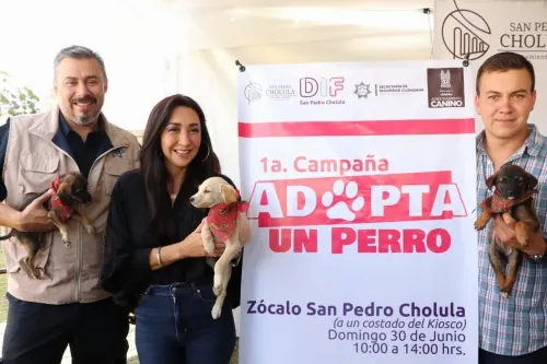 DIF y Secretaría de Seguridad de San Pedro Cholula ofrecerán en adopción canes callejeros