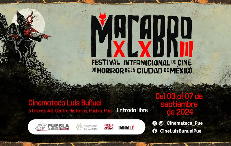 Imagen 3
