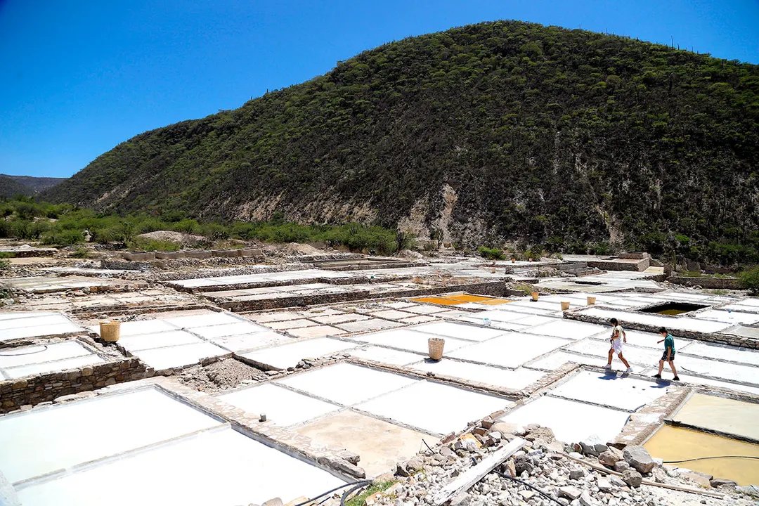 Zapotitlan Salinas Salinas Grandes