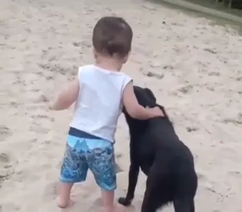 Niño con epilepsia tumoral, aprende a andar gracias a su perro
