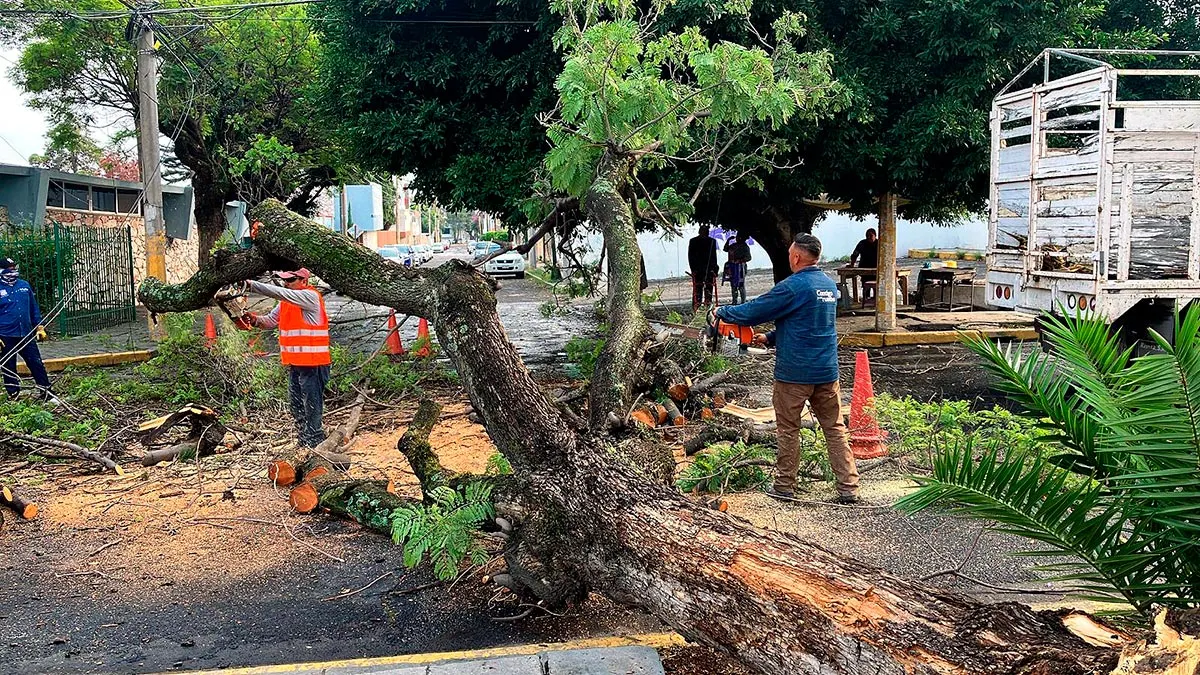 Afectaciones Por Lluvia Puebla