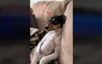 Lomita ve “Titanic” y su reacción conmueve a miles de internautas