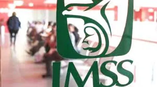 Consejo Técnico IMSS declaró inhábiles los días entre el 17 de diciembre y el 6 de enero de 2021