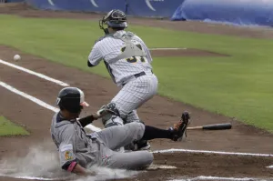 Pericos por la serie al cubil Felino