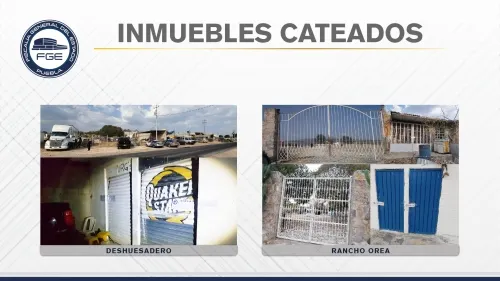 Fiscalía detuvo a tres hombres y cateó un deshuesadero y un rancho