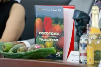 UTH entregó a IMPI estudio para Indicación Geográfica de tuna de Acatzingo