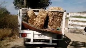 Seguridad Pública recupera más de 9 mil litros de hidrocarburo robado