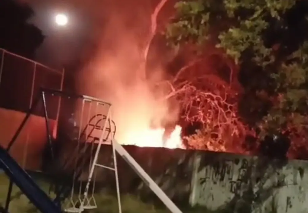 Foto: Captura de pantalla
