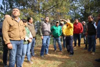 Incendió en el municipio de Zacatlán ya ha sido controlado en Xonotla y Paraje Peña del Águila: Gobierno