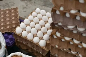 Puebla se prepara para el Día Mundial del Huevo con más de mil platillos y cifras récord en producción