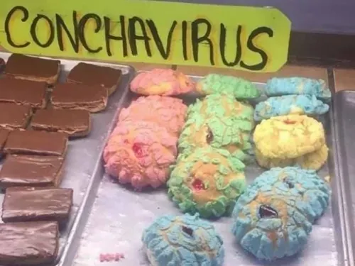 Crean la ‘conchavirus’, ideal para disfrutar en casa