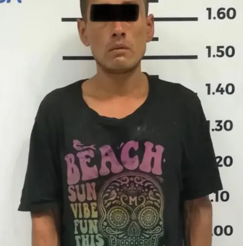 Imagen del artículo