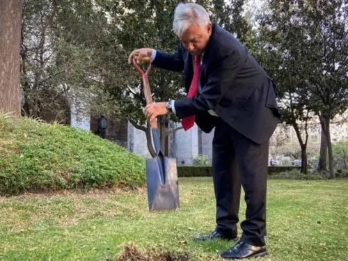 López Obrador planta ceiba tropical en Palacio Nacional