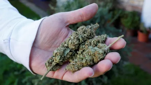 Armenta Mier a favor de legalización de marihuana, asegura que se aprobará en breve