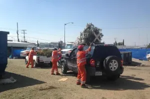 Hasta 10 mil árboles de Navidad serán recolectados para composta en Valsequillo