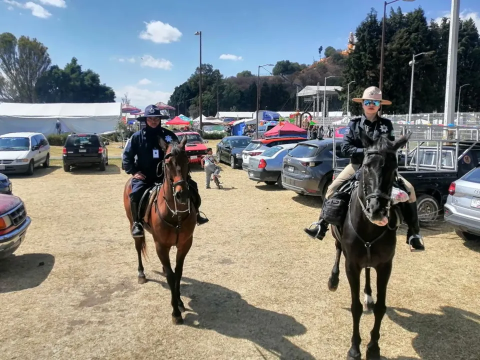 Seguridad en FESTIVAL EQUINOCCIO 2023