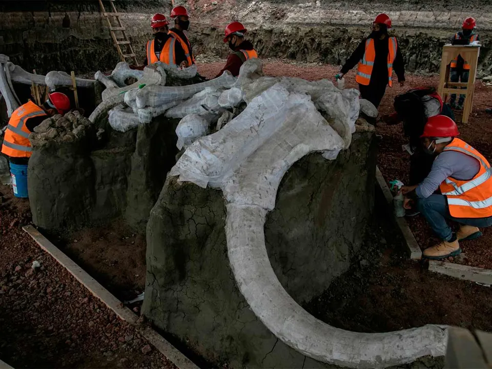 Se construirá museo del mamut en Santa Lucia menciona AMLO
