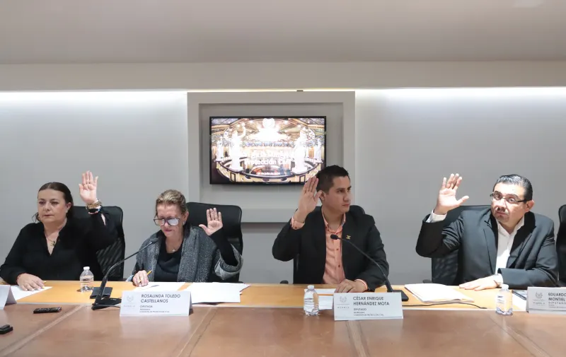 Comisión de Protección Civil