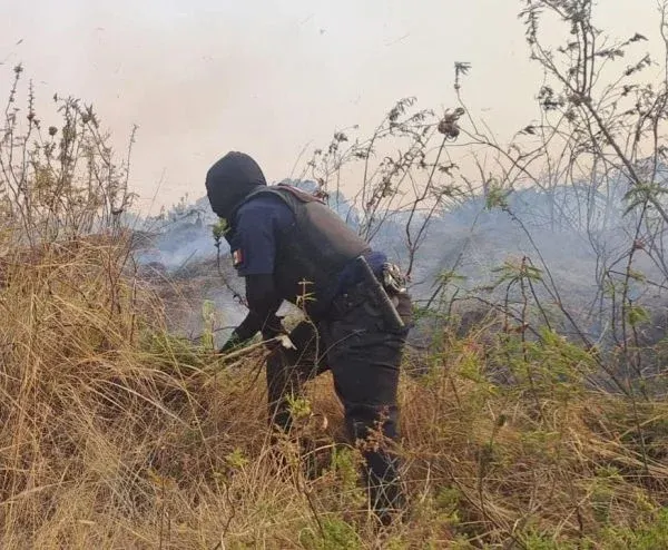 Policia Montada Cerro Zapotecas Incendios Forestales