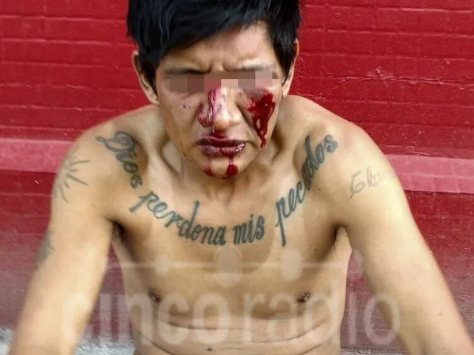 Imagen del artículo