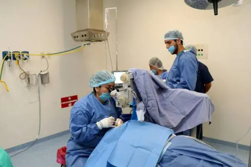 Suma SSEP la décima donación multiorgánica del año