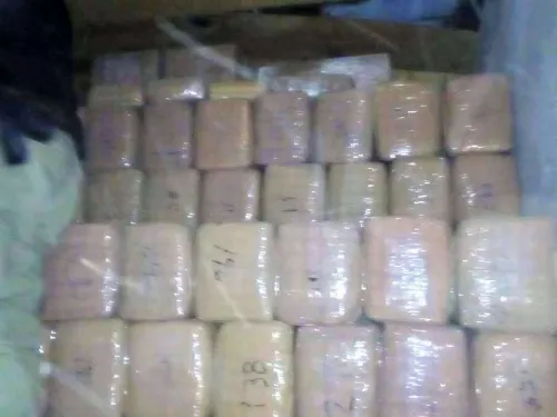 Aseguran casi dos toneladas de mariguana en Coahuila