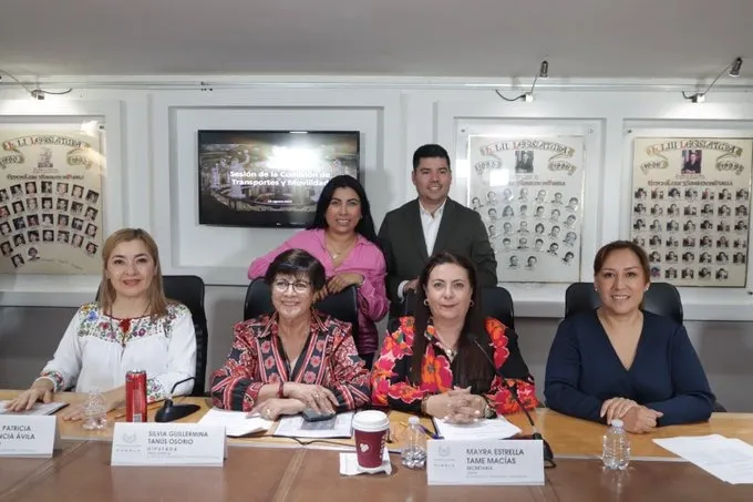 Comisión de Transportes y Movilidad