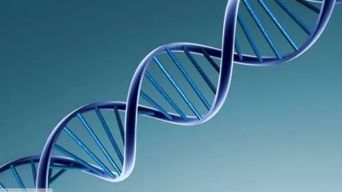 Nuevo método para acelerar la clonación de ADN