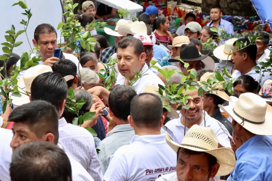 Senador Alejandro Armenta