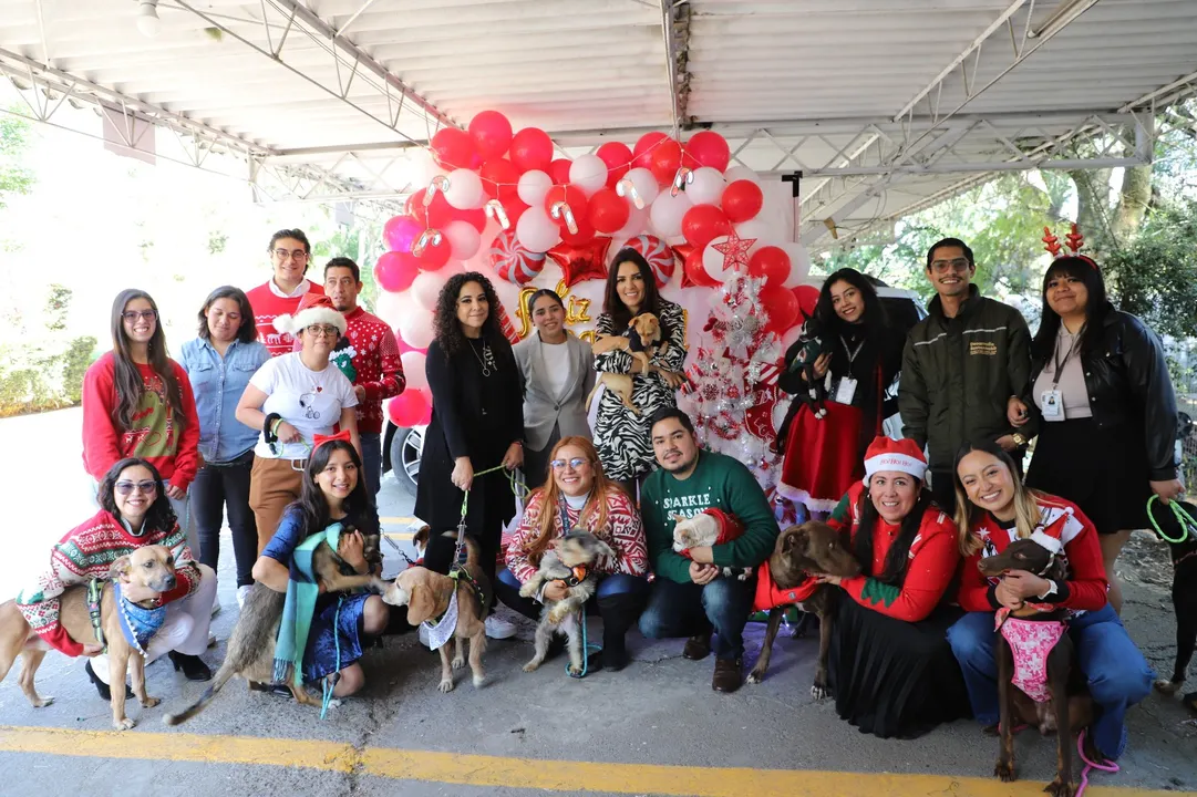 Campaña de adopción