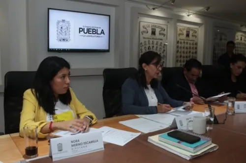 Aprueban brindar 14 semanas de permiso por maternidad a trabajadoras del estado