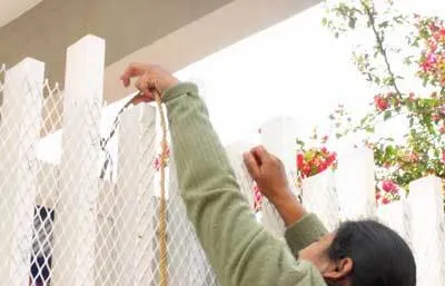SEP investiga a director de Tehuacán por prohibir consumo de alimentos