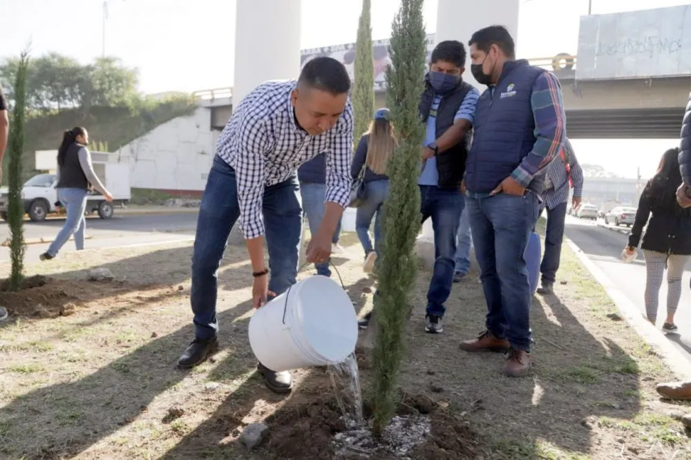Edmundo Tlatehui planta árbol