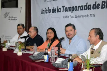 Presenta Zacatlán su temporada de blueberry y anuncia exportación de 520 toneladas