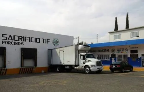 Presume director de Industrial de Abasto matanza de 400 bovinos y 9 mil porcinos en sólo 3 meses
