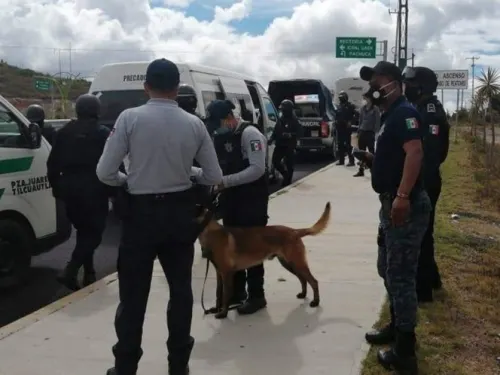 Van por facultad a policías contra maltrato animal en Hidalgo