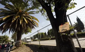 Protestan contra tala de árboles en parque lineal Serdán