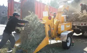 OOSL y Ayuntamiento invitan a donar sus árboles de navidad naturales y evitar multas