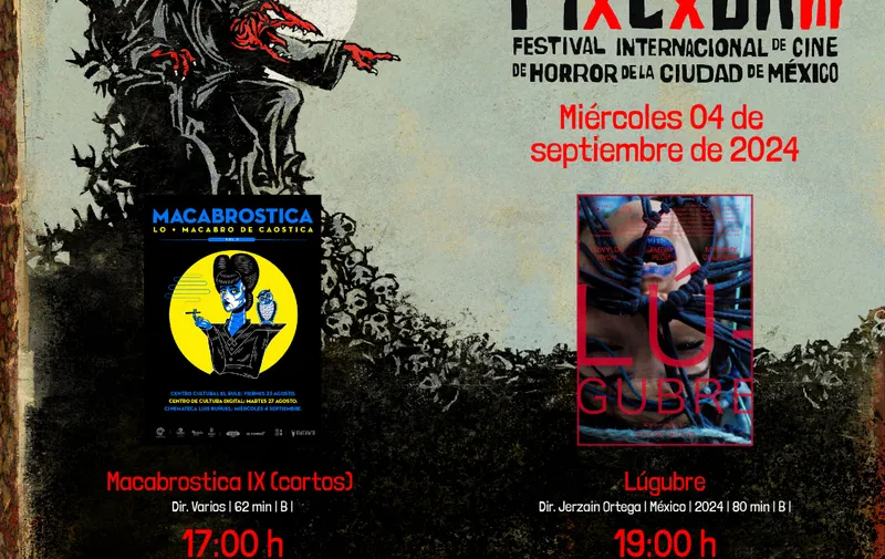 Imagen 5