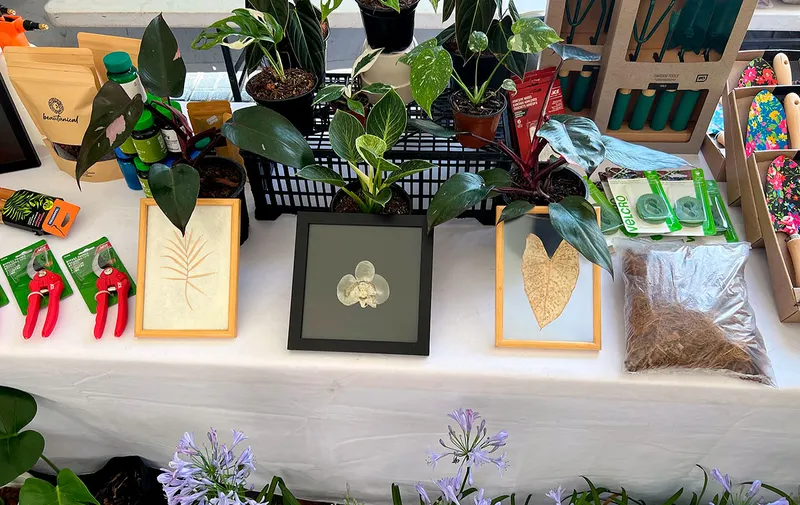 plant-fest-de-cholula