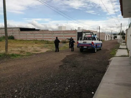 ¡Alerta! Un puma acecha en San Juan del Rio